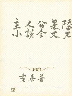 主人公是陆鸣的小说全文免费阅读封面