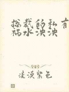 总裁的私有宝贝祸水泱泱