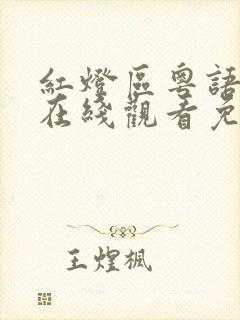 红灯区粤语港剧在线观看免费播放封面