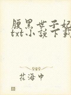 腹黑世子妃日常txt小说下载
