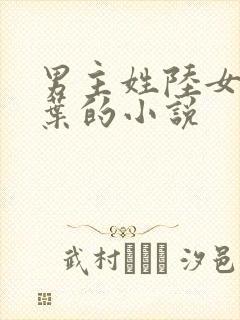男主姓陆女主姓叶的小说封面