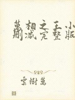 万相之王小说未删减完整版