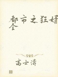 都市之狂婿战神全封面