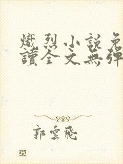 炽烈小说免费阅读全文无弹窗封面