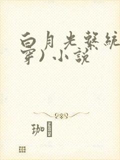 白月光系统(快穿) 小说