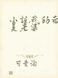 小说,我的白富美老婆