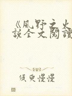 《风野之火》小说全文阅读免费