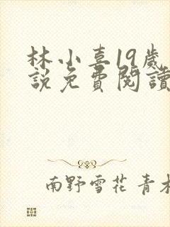 林小喜19岁小说免费阅读