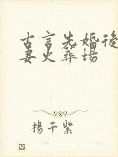 古言先婚后爱追妻火葬场封面