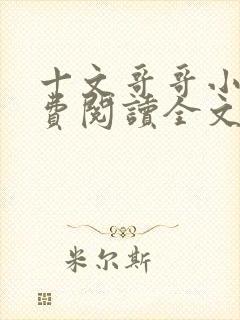 十文哥哥小说免费阅读全文