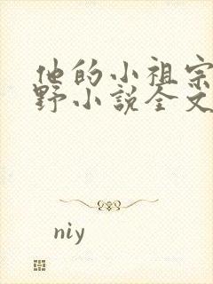 他的小祖宗甜又野小说全文阅读