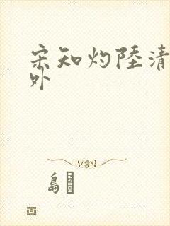 宋知灼陆清衍番外