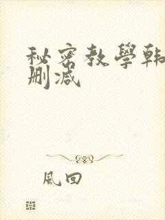秘密教学韩漫无删减封面