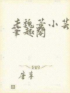 老魏董小芸全文笔趣阁