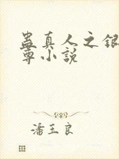 蛊真人之银邪魔尊小说