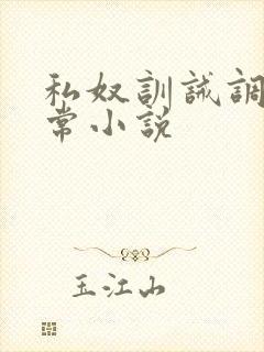私奴训诫调教日常小说封面