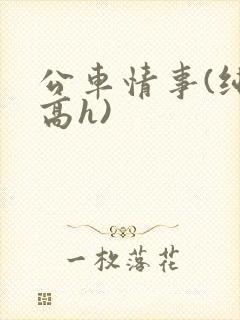 公车情事(纯肉高h)