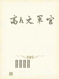 高h文军官