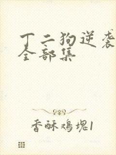 丁二狗逆袭人生全部集