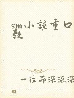 sm小说重口调教