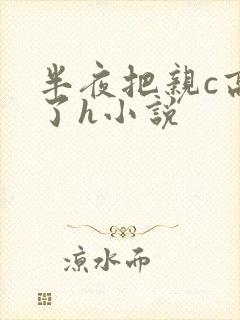 半夜把亲c高潮了h小说封面