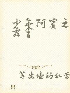 少年阿宾之迷乱舞会