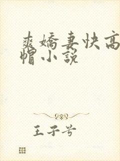 爽娇妻快高h绿帽小说