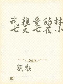 我亲爱的林法医七天七夜小说封面