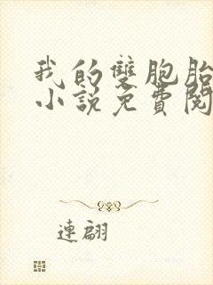 我的双胞胎老婆小说免费阅读全文