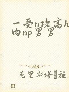 一受n攻高h全肉np男男