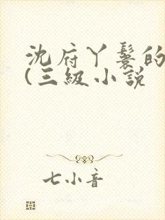 沈府丫鬟的淫史(三级小说