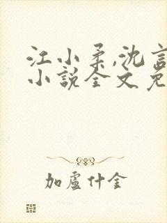 江小柔,沈言城小说全文免费阅读