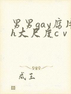 男男gay腐片h大尺度cⅴ小蓝封面