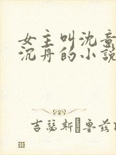 女主叫沈意欢陆沉舟的小说