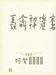 夏念初傅寒泽小说叫什么名字