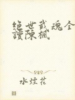 绝世武魂全文阅读陈枫