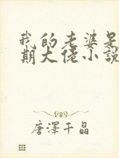 我的老婆是大乘期大佬小说免费观看