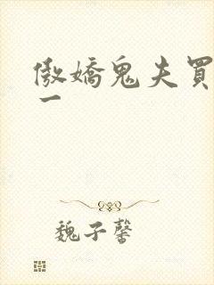 傲娇鬼夫买一送一