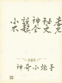 小说神秘老公惹不起全文免费阅读