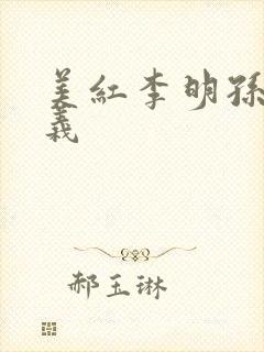 美红李明孙倩高义