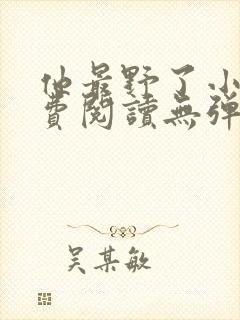 他最野了小说免费阅读无弹窗