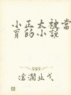 小正太被当成繁育的小说