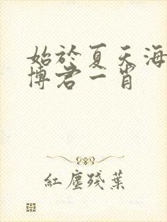 始于夏天海外版博君一肖封面