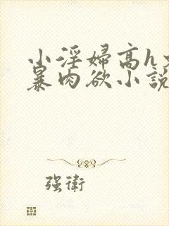 小淫妇高h文黄暴肉欲小说封面