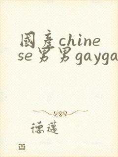 国产chinese男男gaygay网站vk