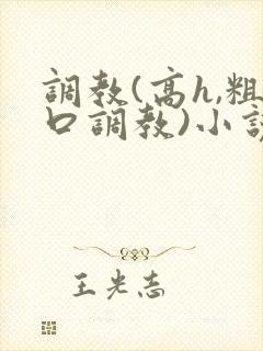 调教(高h,粗口调教)小说封面