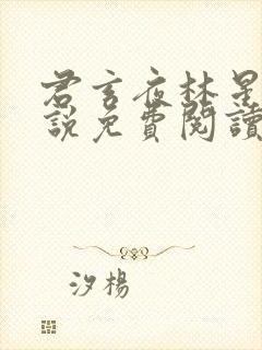君玄夜林星瑶小说免费阅读封面