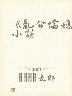 《乱公伦媳》的小说