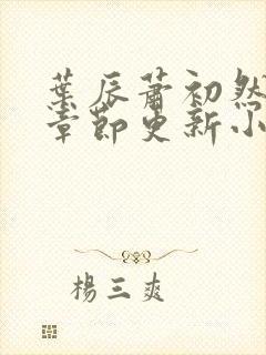 叶辰萧初然最新章节更新小说封面