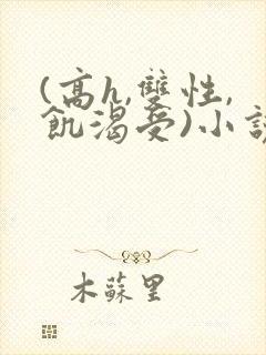 (高h,双性,饥渴受)小说